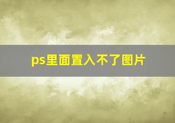 ps里面置入不了图片