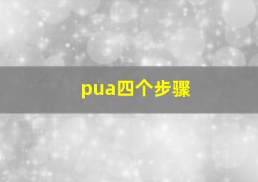 pua四个步骤