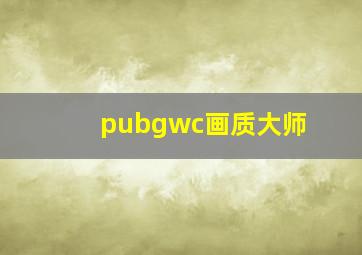 pubgwc画质大师