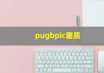 pugbpic画质