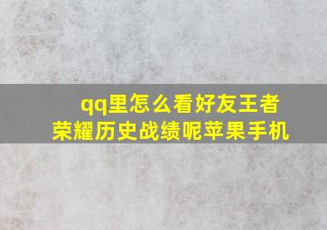 qq里怎么看好友王者荣耀历史战绩呢苹果手机