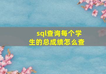 sql查询每个学生的总成绩怎么查