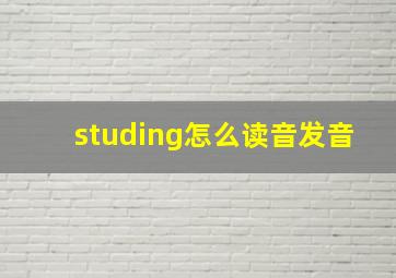 studing怎么读音发音