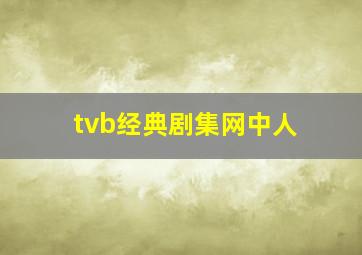 tvb经典剧集网中人