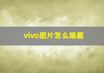 vivo图片怎么隐藏