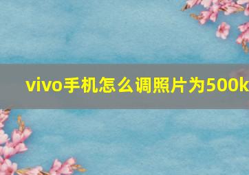 vivo手机怎么调照片为500k