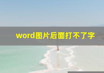 word图片后面打不了字