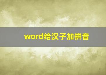 word给汉子加拼音