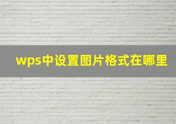 wps中设置图片格式在哪里