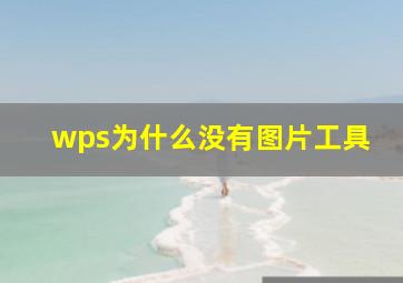 wps为什么没有图片工具