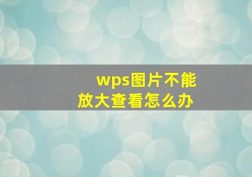 wps图片不能放大查看怎么办