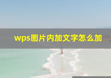 wps图片内加文字怎么加