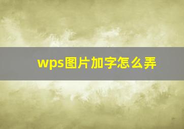 wps图片加字怎么弄