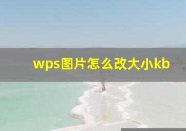 wps图片怎么改大小kb