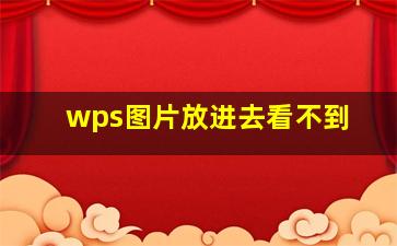 wps图片放进去看不到