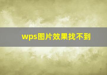 wps图片效果找不到