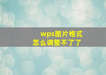 wps图片格式怎么调整不了了