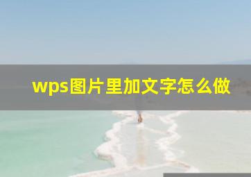 wps图片里加文字怎么做