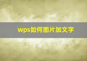 wps如何图片加文字