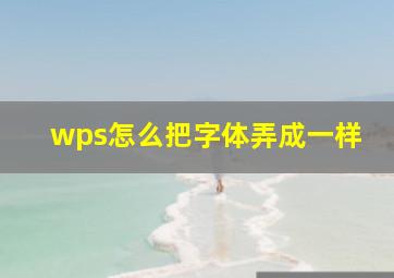 wps怎么把字体弄成一样