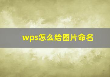 wps怎么给图片命名