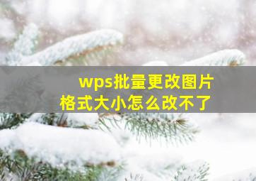 wps批量更改图片格式大小怎么改不了