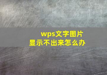 wps文字图片显示不出来怎么办