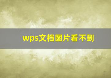 wps文档图片看不到