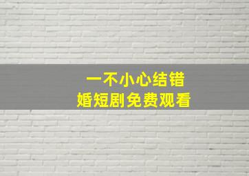 一不小心结错婚短剧免费观看