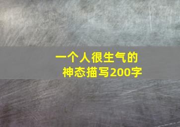 一个人很生气的神态描写200字