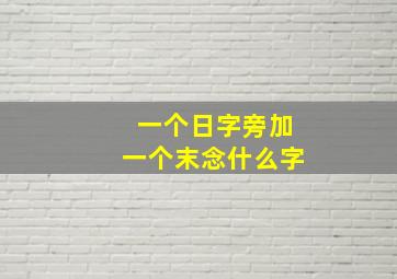 一个日字旁加一个末念什么字