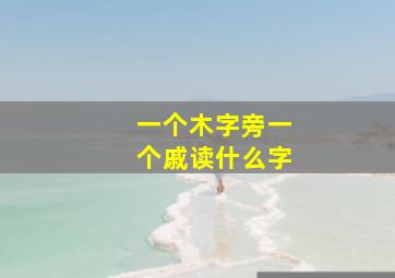 一个木字旁一个戚读什么字