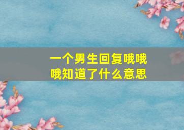 一个男生回复哦哦哦知道了什么意思