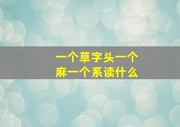 一个草字头一个麻一个系读什么