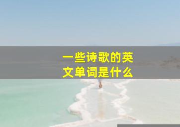 一些诗歌的英文单词是什么