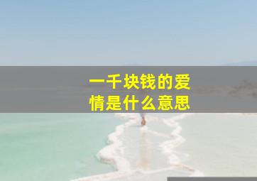 一千块钱的爱情是什么意思