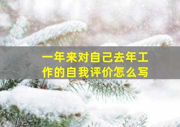 一年来对自己去年工作的自我评价怎么写