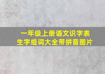 一年级上册语文识字表生字组词大全带拼音图片