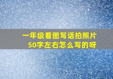 一年级看图写话拍照片50字左右怎么写的呀