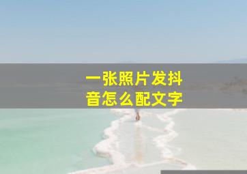 一张照片发抖音怎么配文字