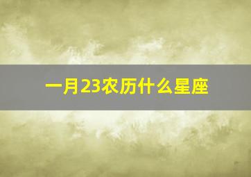 一月23农历什么星座