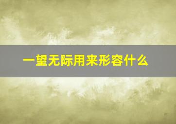 一望无际用来形容什么