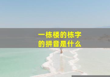 一栋楼的栋字的拼音是什么