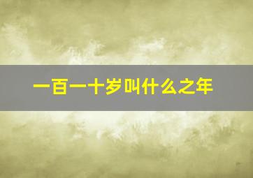 一百一十岁叫什么之年