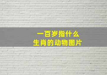 一百岁指什么生肖的动物图片