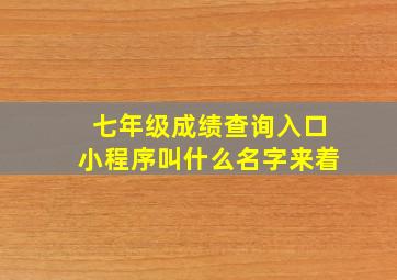 七年级成绩查询入口小程序叫什么名字来着