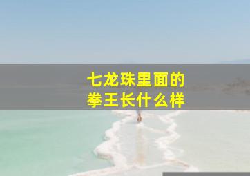 七龙珠里面的拳王长什么样