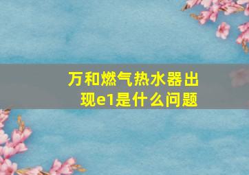 万和燃气热水器出现e1是什么问题