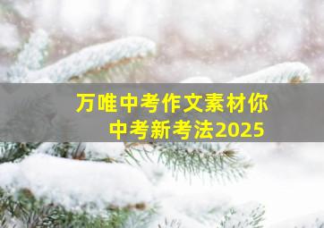 万唯中考作文素材你中考新考法2025