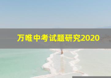 万唯中考试题研究2020